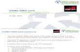 76_124 GSMA_WBA Radius Diamter Interworking Proposal 3Dec2014