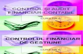 Control si Audit financiar contabil