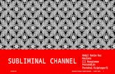 Subliminal Channel.pptx