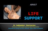 Adult Basic Life Support 2015