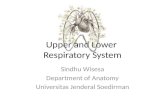 Upper and Lower Resp System - Sindhu Wisesa.pptx