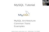 MySQL Basic