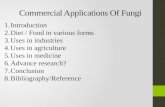 Commercial applications of fungi - Copy.pptx