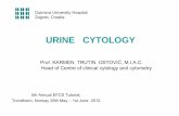 Urine Cytology2012