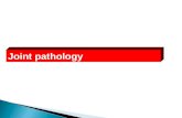 19 - Arthritis_patho(Updated 13.3.12)(1) - Copy