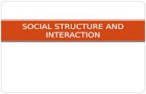 Lec 24 Social Structure