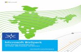 Microsoft Bizspark India Startup Challenge 2013 30Startup Winners