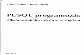 PL SQL Prog Orecle 10g