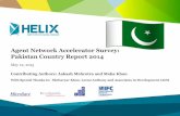 Agent Network Accelerator Pakistan Country Report 2014