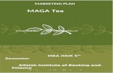 MAGA TEA Marketing Project