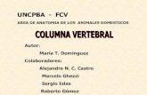 Columna Vertebra 2.pdf