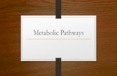 Microbial Metabolic Pathways