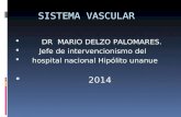 Clase Dels Istema Vascular 2011