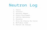 Neutron Log