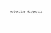 MICRO Molecular Diagnosis