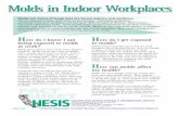 (health) Molds in Indoor