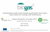Sustainable small-scale biogas production from agrofood waste for energy self-sufficiency