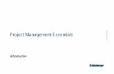 Project Management Essentials 0 - Introduction