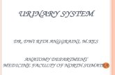Embriologi Urinary System New