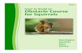 Squirrel Obstacle Course
