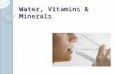 W10 Water, Vitamins & Minerals ppt