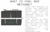 Coal Bed Methane.