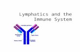 Lecture 20 - Lymphatics & Immune System