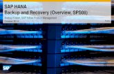 SAP.hana Backup.recovery Overview SPS8