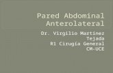 Pared Abdominal Anterolateral.pptx