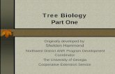 Tree Biology1