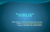Compilado de Virus