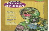 revista terapia floral bach1.pptx