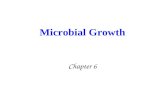 5. Microbial Growth2-ST