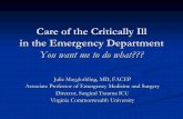 44 MAyglothling ED Critical Care.pdf