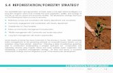 Reforestation Masterplan Gili Balu