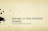 American Gangs Presentation