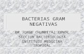 Bacilos Gram Negativos