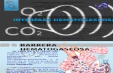 INTERFASE HEMATOGASEOSA