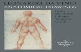 Leonardo-Leonardo Da Vinci_ Anatomical Drawings From the Royal Library, Windsor Castle-Metropolitan Museum of Art (1983)