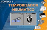 Temp._Neumaticos 2.ppt