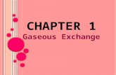Bio F6 Gaseous Exchange