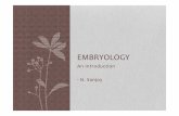 Embryology - an introduction