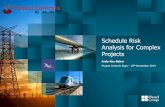 Schedule Risk Analysis for Complex Projects