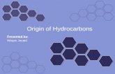 Origin of  Petroleum Hydrocarbons Presentation