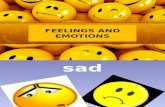 38255 Feelings Emotions
