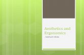 Aesthetics and Ergonomics