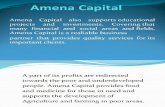 Amena Capital Reviews
