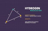 Hydrogen Molecule Ion