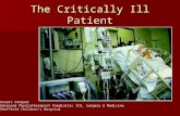 The Critically Ill Patient