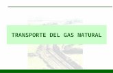 Tema3.Transporte de Gas Natural